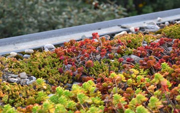 the cost of Crowdon green roof installation