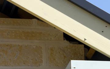 soffit repair Crowdon