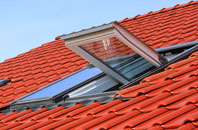Crowdon roof window